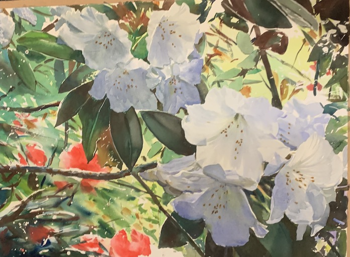 Richard Bolton | White and Red Rhody  |McAtamney Gallery and Desgin Store | Geraldine NZ